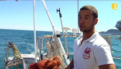 Saint-Pierre et Miquelon terre d'aventures