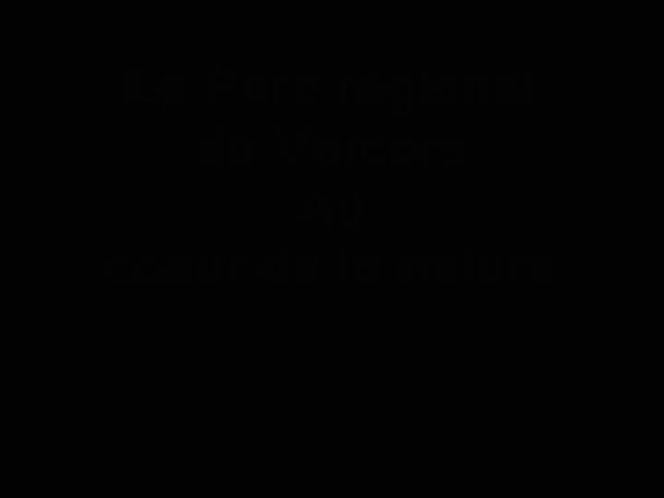 Parc régional du Vercors - Au coeur de la nature!