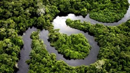 Wild discovery channel animals Journey into Amazonia National geographic documentary #2