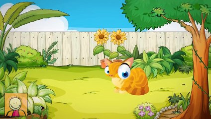 Köpeğim Hav Hav Der - Köpeğim Benden Ne İster_