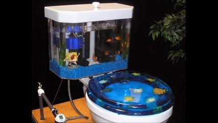 10 of the weirdest toilets in the world
