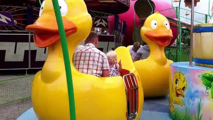 Roller Coaster Accident Crazy Duck