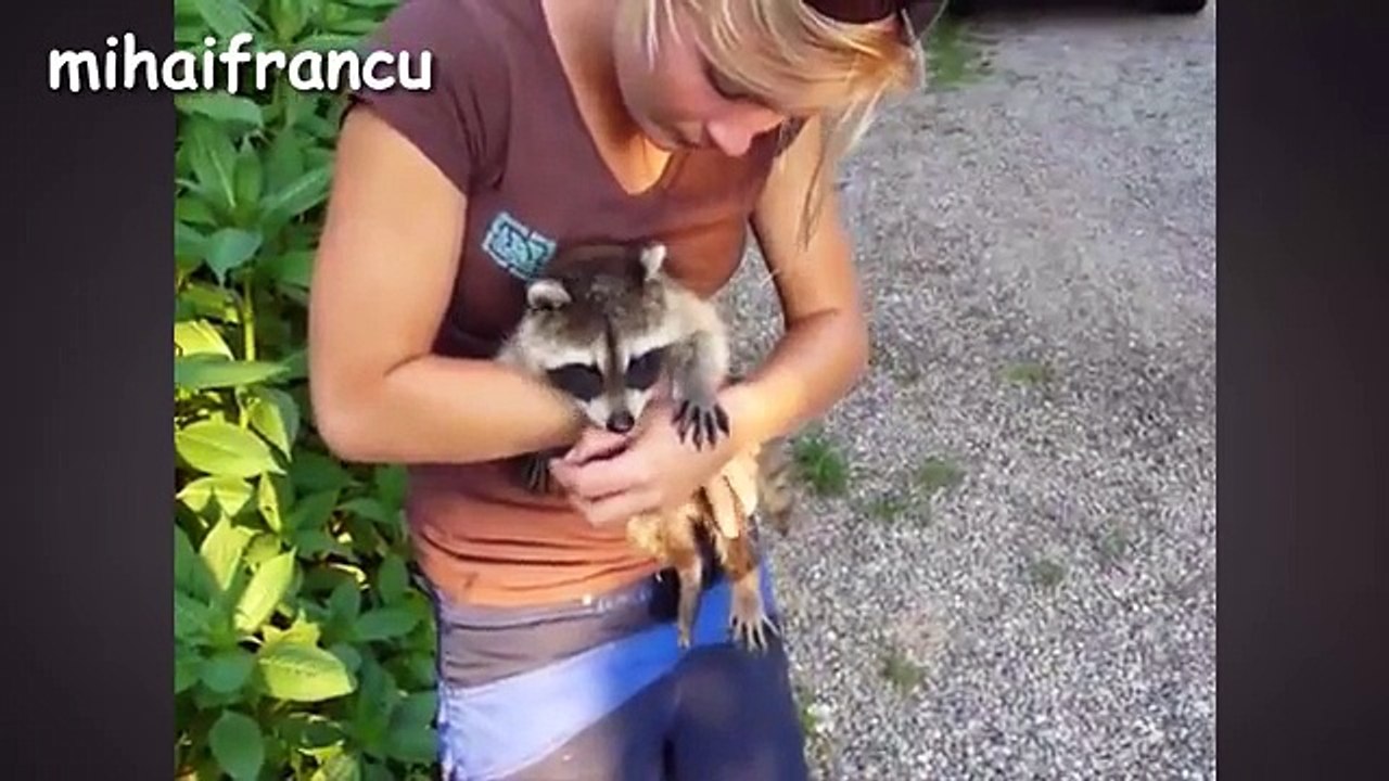 Funny Animals - A Funny And Cute Animal Videos Compilation 2015 [NEW HD].mp4-