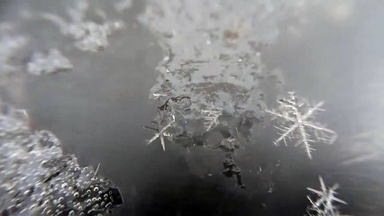 Magnifique : découvrez la naissance d'un flocon de neige