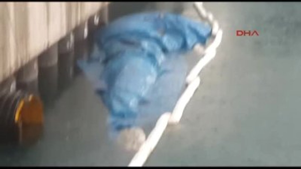 İskenderun Limanı'na Ölü Yavru Balina Vurdu