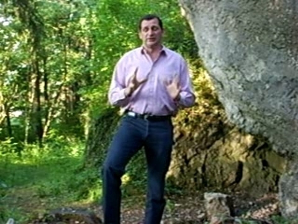 législative 2007