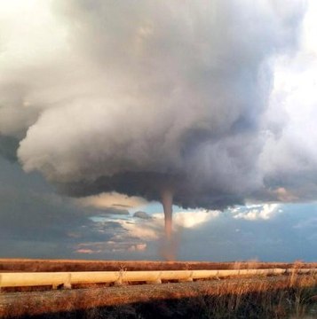 Adana'da Korkutan Hortum! Gören Telefona Sarıldı