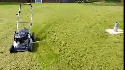 Anyone tried this to cut the grass in garden