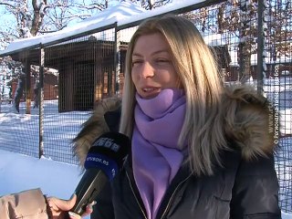 Zima u borskom Zoo vrtu, 09. januar 2016. (RTV Bor)