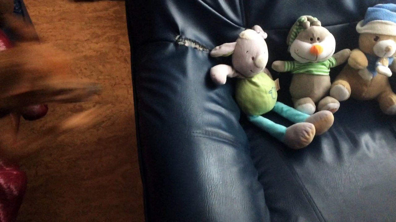 Filou et ses nouveaux jouets