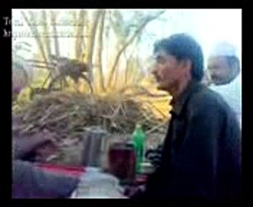Rabab Mangi Mailasoona (9)