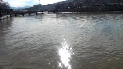 Alaplı'da Amatör Balıkçılar Çaya Akın Etti