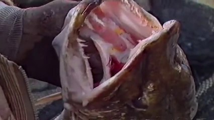 Go Fishing with John Wilson - Fishing for Pike