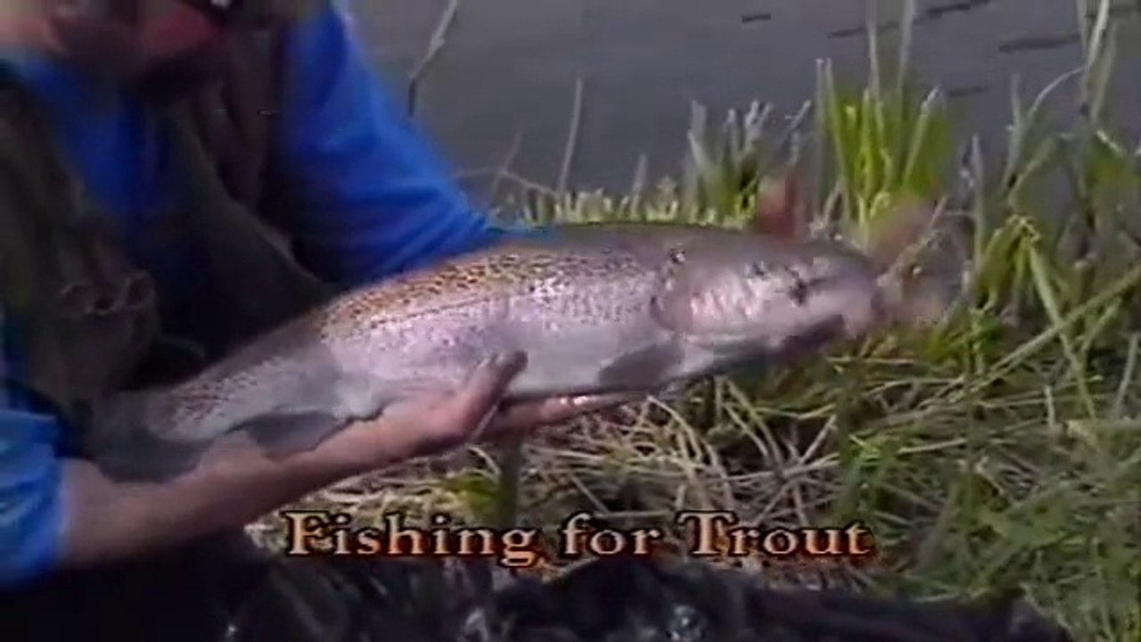 Go Fishing with John Wilson - Fishing for Trout