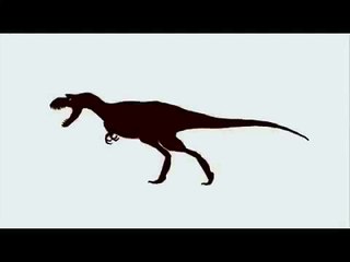 ASDC - Gorgosaurus vs Teratophoneus
