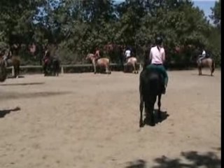 Gus - 30 ans: Tous à cheval!