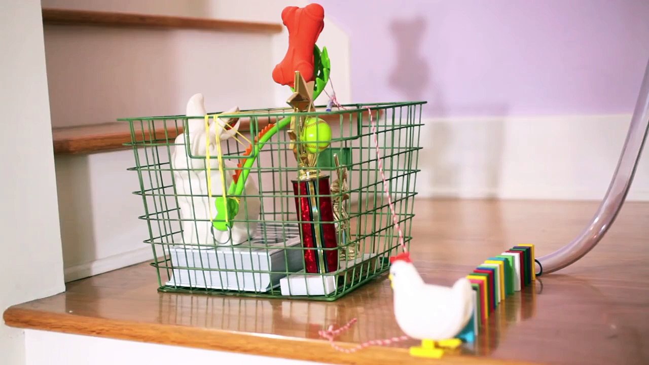 Blaze and the Monster Machines: Race of the Century | Jr.