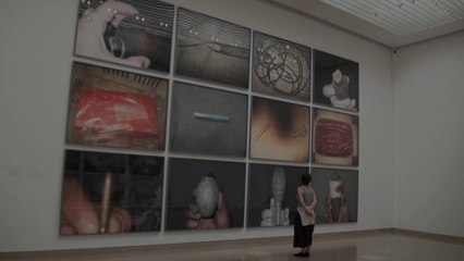 Walid Raad. Préface, documentaire de l'exposition