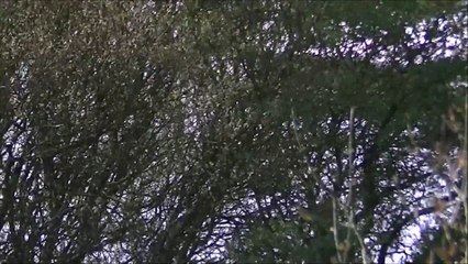 Atterrissage d'un avion Primera "Mistral Air".
