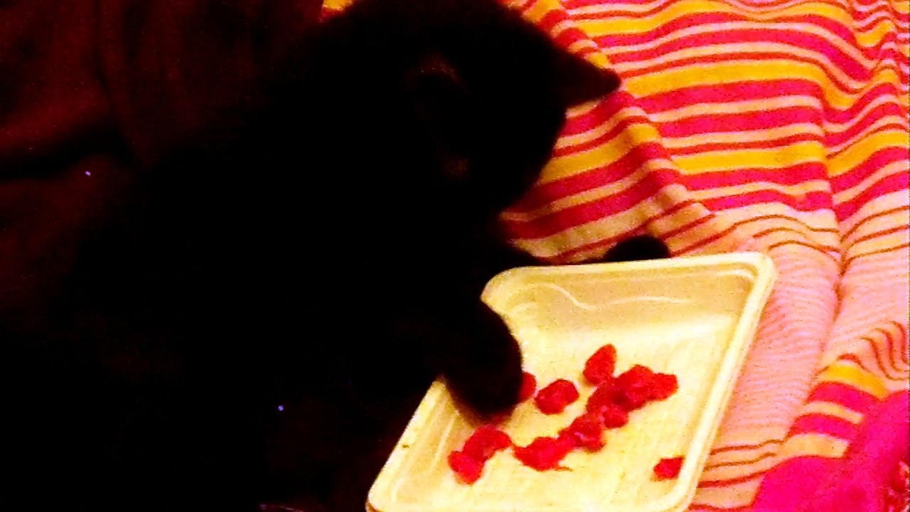 Comment manger sans complexe et sans efforts...