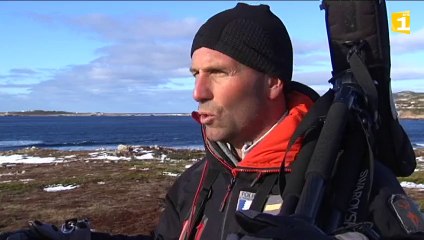 Le comptage des oiseaux migrateurs a commencé à Saint-Pierre et Miquelon