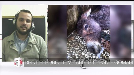 Pasdite ne TCH, 8 Janar 2016, Pjesa 4 - Top Channel Albania - Entertainment Show