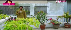 Ye Mera Deewanapan Hai Episode 42 P1