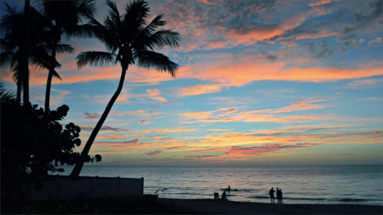 FLORIDA 2.0 / video diary