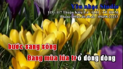 Hương Tóc Mạ Non