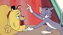 Tom and Jerry Cartoon Much Ado About Mousing 1964