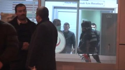 Aksaray'da Domuz Gribi Şüphesi