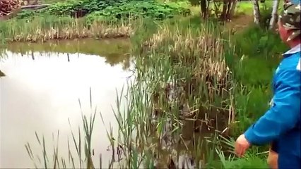 Smart cat tricks fisher
