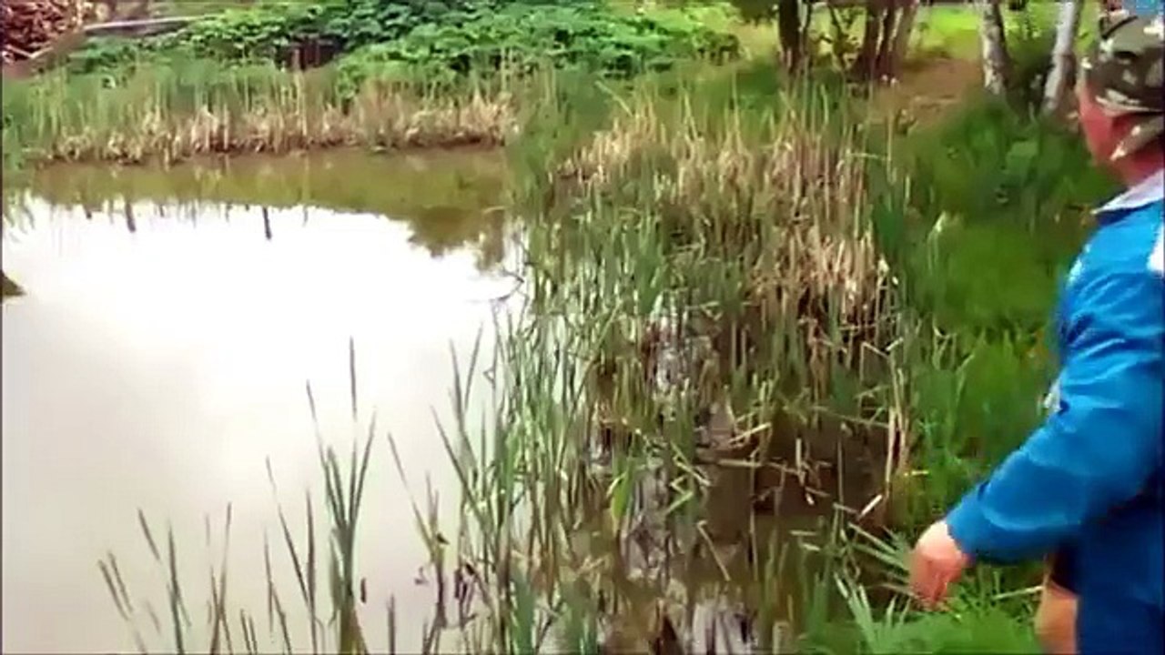 Smart cat tricks fisher