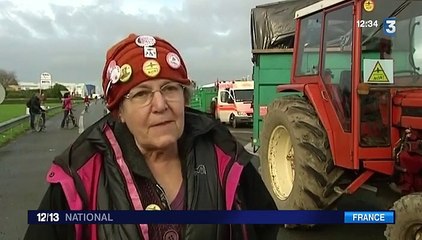 Nouveau bras de fer autour le projet d'aéroport de Notre-Dame-des-Landes