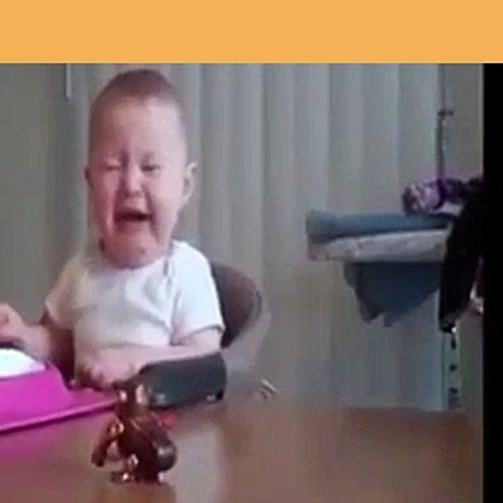 Funny Animal Movies and most amazing funny childs clips[1]