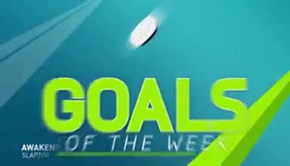 FIFA 16 - Best Goals of the Week -> Round 12
