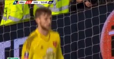 GOOOOAL Rooney W. (Penalty)  - Manchester United 1-0 Sheffield Utd - 09-01-2016