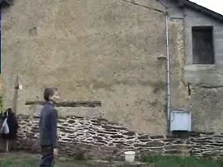 Betisier