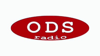 ODS RADIO Journal régional de 17H - ITW Yves Toussaint - 08/01/2016