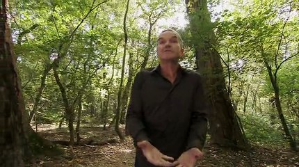 Документальный фильм про траву. Марихуанна, каннабис. Фильм BBC про один из самых популярных наркотиков в мире.