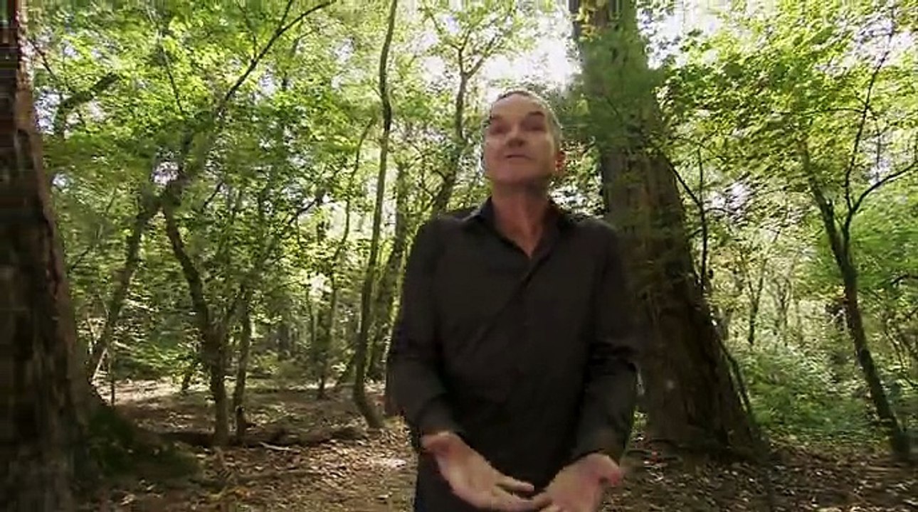 Документальный фильм про траву. Марихуанна, каннабис. Фильм BBC про один из самых популярных наркотиков в мире.