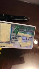 Professor Plastic Mississippi Review