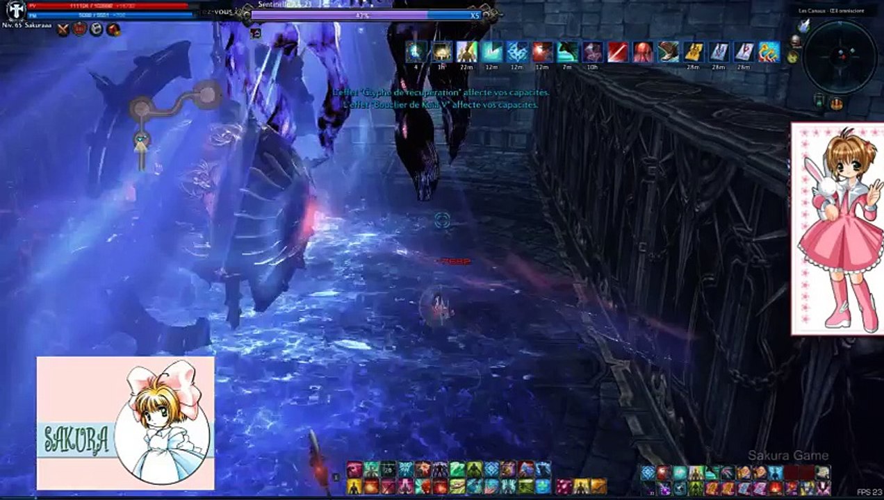 Tera Online - Les canaux - 09/01/2016