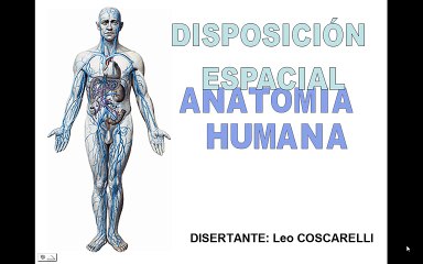 Anatomía Espacial