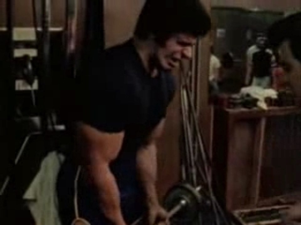 TOTO STROY - MOZINOR