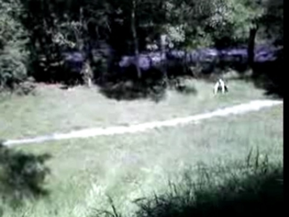 Thomas petit road gap