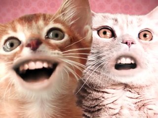 Funny Animals Video-Funny Cat Videos-Singing Cats Very Funny