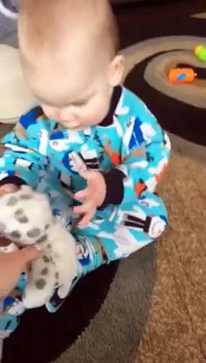 Un bébé plié de rire en regardant son chien jouer... Trop mignon