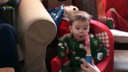 Komik Bebekler Ve Tavuklar Derleme