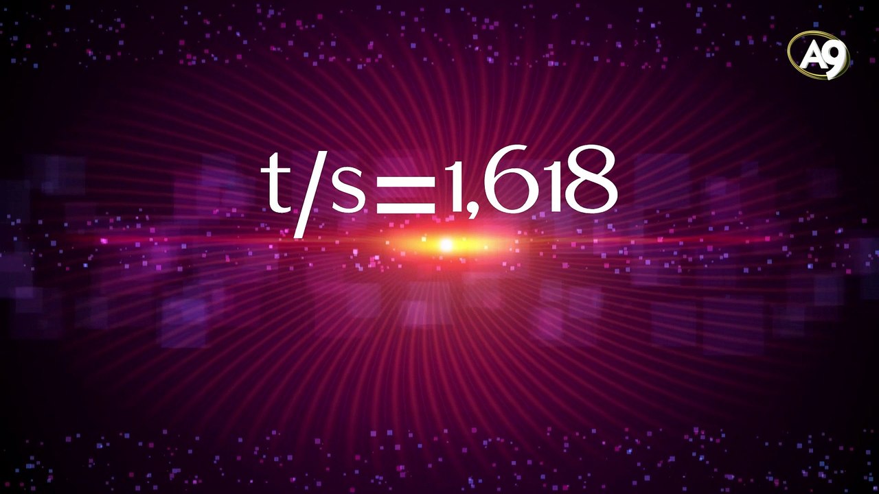 İnsan vücudu ve altın oran